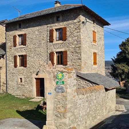 Maison De Caractere En Pierre Cal Blanic Saint-Pierre-dels-Forcats Ngoại thất bức ảnh